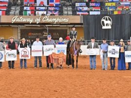 AQHA Pleasure Versatility Challenge (PVC) New Instagram and Facebook Pages