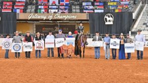 2026 AQHA Pleasure Versatility Challenge Returns to the AQHA World Show