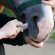 Deworming Horses: Expert Recommendations to Avoid Resistance