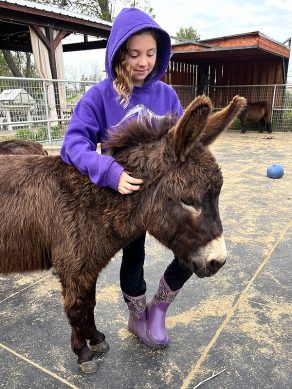 Just 3 Minutes with Miniature Horses and Donkeys Improved Teens’ Mood
