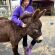 Just 3 Minutes with Miniature Horses and Donkeys Improved Teens’ Mood