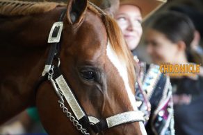 EC Photo of the Day: It’s About Joy and Connection