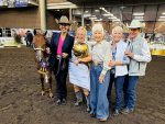 Around the Rings with the G-Man: The Breeders Halter Futurity 2026