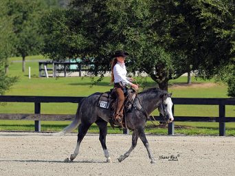 The Championship Show 2026, APHA Zone 9 Fall Cash Classic & The Spotted Cash Classic Appaloosa Show: Saturday, September 19