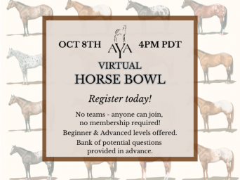 Appaloosa Youth Association Virtual Horse Bowl Open to the Public