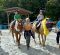 EC Blog: The Whole Horse, For Every Heart
