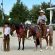 EC Photo of the Day: A Clean Sweep for Hill Performance Horses