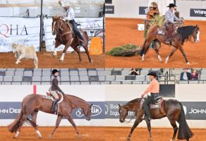 Shane Rux Photography Continues as Official Photographer of 2026 AQHA World Show