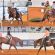 Shane Rux Photography Continues as Official Photographer of 2026 AQHA World Show