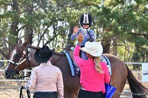 Apply for the 2027 AQHA Judge Applicant School