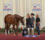 EC Photo of the Day: Congress, Where Anything is Possible
