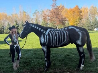 EC Photo of the Day: Symmetrical Skeleton