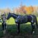 EC Photo of the Day: Symmetrical Skeleton