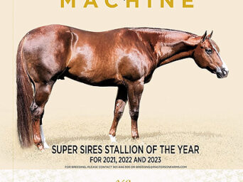 Richland Ranch, Inc. Welcomes The Lopin Machine to the 2027 Breeding Season