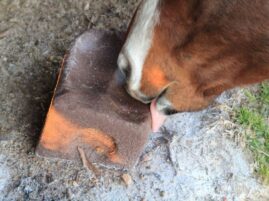 Research Update: Block Salt or Loose Salt?