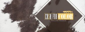 CA$H For Color Announces Exciting Expansion For 2027