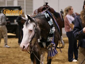 2026 QH Congress All Star Reining Stakes Open Futurity Level 4 Final