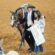 October 9th Deadlines for 2026 AQHA World Show