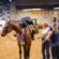 EC Photo of the Day: A Single Hoofbeat