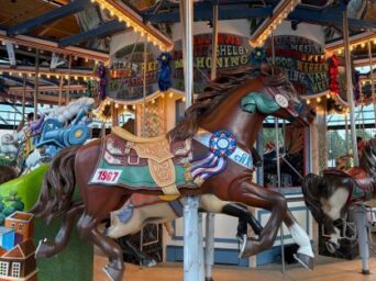 EC Photo of the Day: Ride a Congress Champion