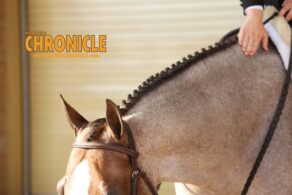 EC Photo of the Day: The Mighty Horse