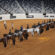 2026 AQHA World Show Working Orders & Stall Assignments