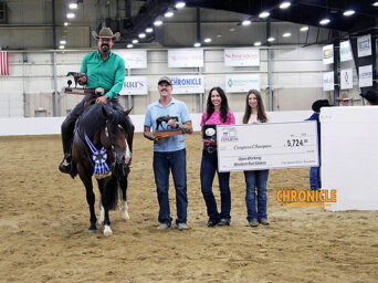 Jimmy Daurio and Cowpuncher Cadillac Win Headley QH Open NSBA Working Western Rail Stakes