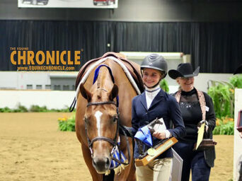 Sunday Working Hunter Highlights at 2026 All American QH Congress