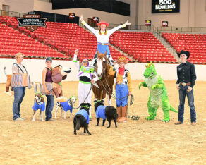 Happy Halloween from The Equine Chronicle!