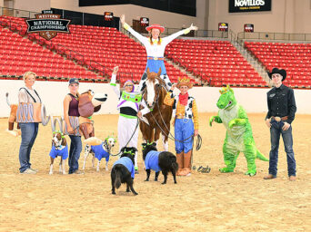 Happy Halloween from The Equine Chronicle!