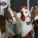 APHA Western National Championship Show Continues Growth in 2026