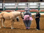2026 NC State 4-H Horse Show: A Historic Year for Alumni Showmanship