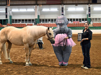 2026 NC State 4-H Horse Show: A Historic Year for Alumni Showmanship