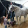 EC Photo of the Day: Little Hands, Big Love for Horses