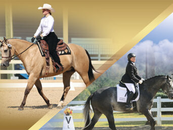 Industry Professionals Celebrate Dressage And Western Dressage For Stock Horse Breeds