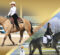 Industry Professionals Celebrate Dressage And Western Dressage For Stock Horse Breeds