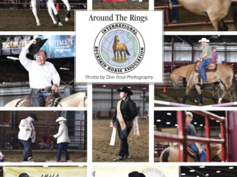 Around The Rings – The IBHA World Championship