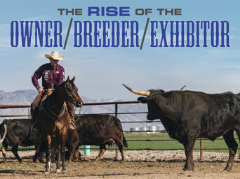The Rise Of The Owner/Breeder/Exhibitor