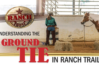 Ranch Topic: Understanding The Ground Tie In Ranch Trail