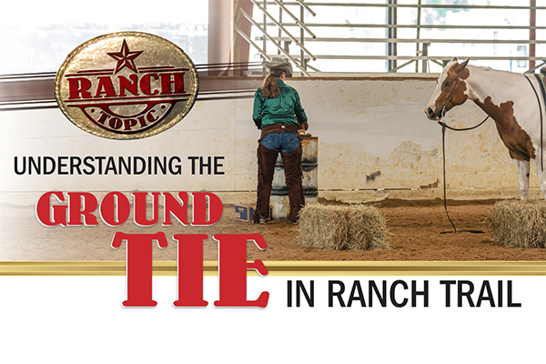 Ranch Topic: Understanding The Ground Tie In Ranch Trail