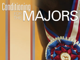 How Trainers And Exhibitors Prepare Horses For The Demands Of Top-Level Competition