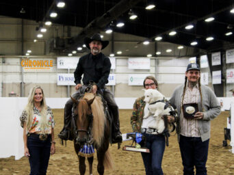 Matt Gouthro and Whiz A Chicolena Win Junior Working Western Rail at Congress