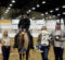 Matt Gouthro and Whiz A Chicolena Win Junior Working Western Rail at Congress