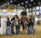 Lane Kail and SS Walk the Line Earn NSBA Amateur Ranch Trail Championship at Congress