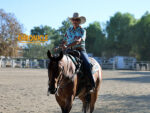 Around the Rings: 2026 High Desert Pinto Horse Association Fall Festival