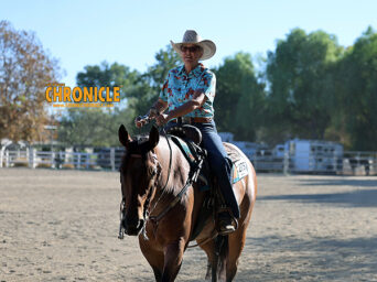 Around the Rings: 2026 High Desert Pinto Horse Association Fall Festival