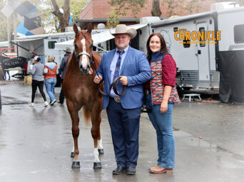 Gunfightin Annie Makes Winning Debut with Justin Bisel in 2026 Yearling Maiden Open Mare Halter Stakes–Limited