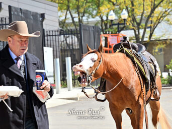 Around the Rings: Complimentary Candids at Congress