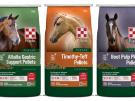 Purina Launches into Forage