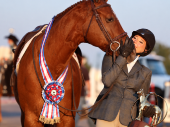EC Photo of the Day: For the Love of the Horse